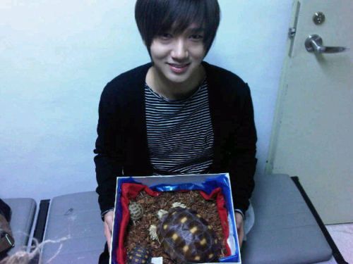 Yesung pet turtle