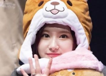 Twice member prettiest nose plastic surgeon