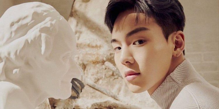 Monsta X shownu hiatus eye condition