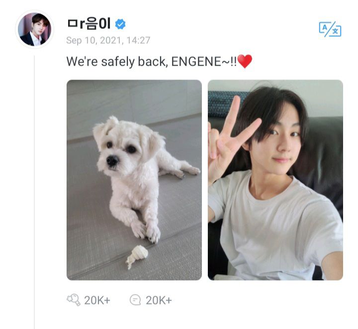 ENHYPEN Jungwon update on weverse