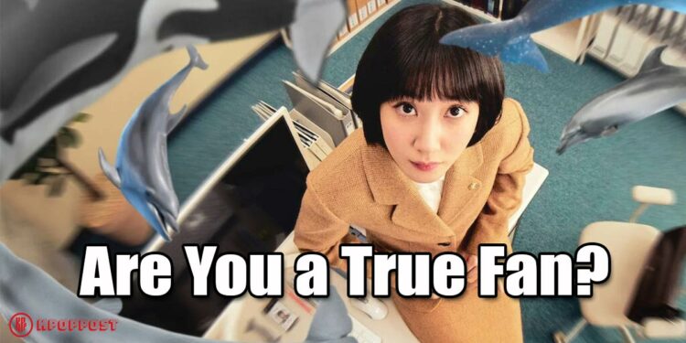 Facts Only a TRUE Fan Knows About “Extraordinary Attorney Woo”