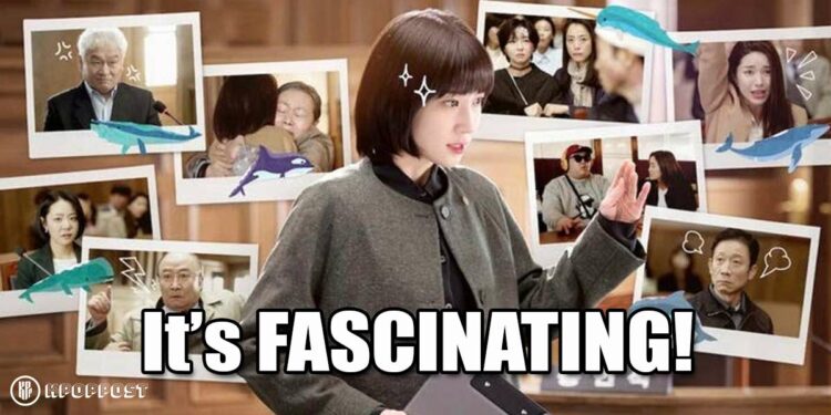 What This Symbol Means in “Extraordinary Attorney Woo” Songs for a SPECIAL Connection