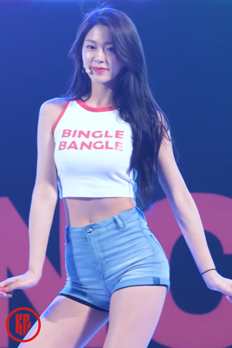 12-female-kpop-idols-with-astonishingly-small-waist-size-kpoppost