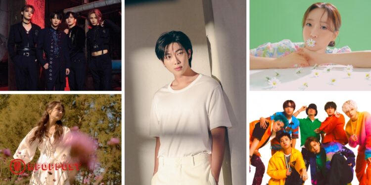 kpop debut and comeback in December 2022