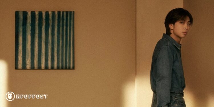 BTS RM's first solo album indigo review