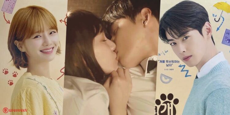 cha eun woo and park gyu young drama a good day to be a dog teaser