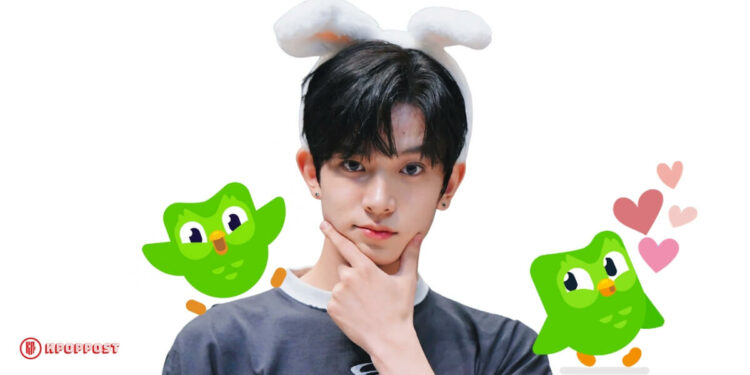 Duolingo Duo the Owl Falls for ENHYPEN Heeseung