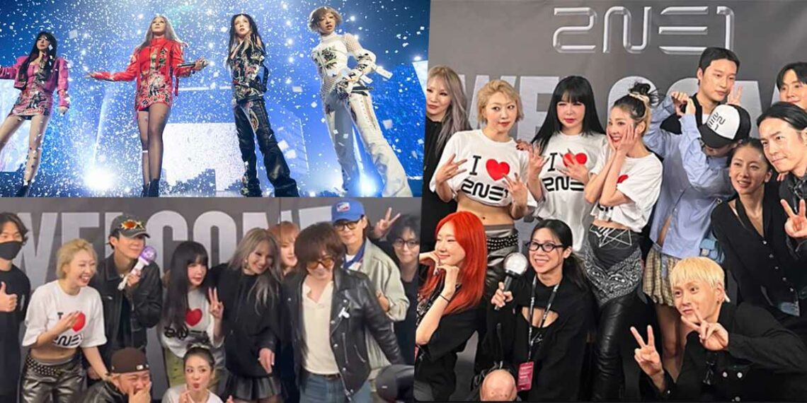 2NE1 “Welcome Back” Concert Seoul guests. | Multiple Sources