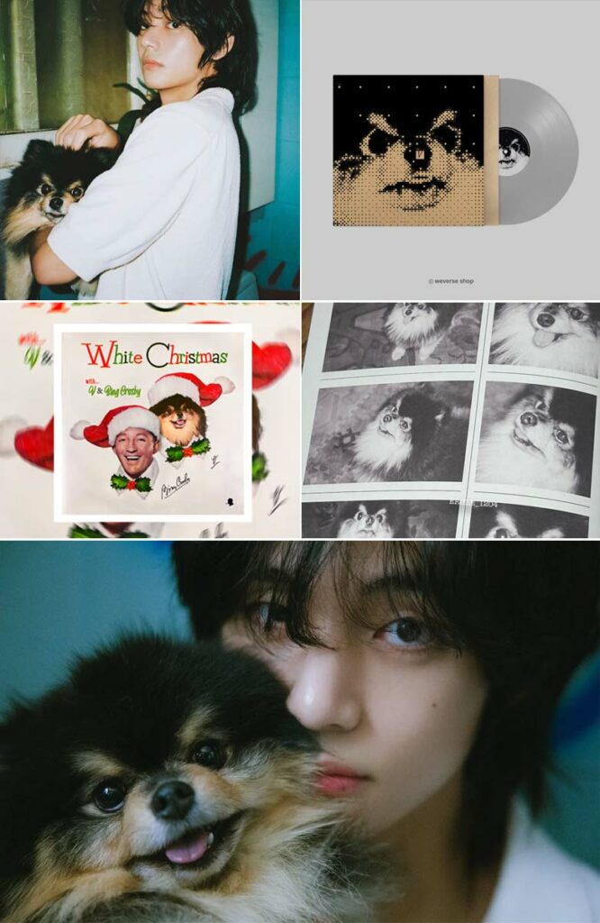 Yeontan in BTS V’s works. | Multiple Sources