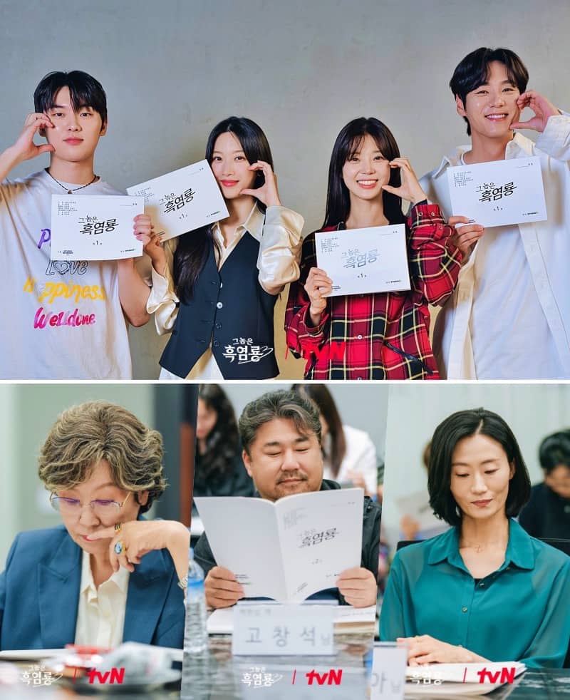 “My Dearest Nemesis” cast | tvN