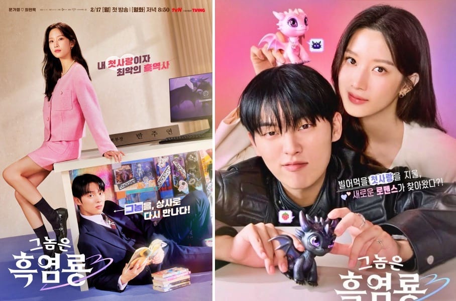 “My Dearest Nemesis” posters. | tvN