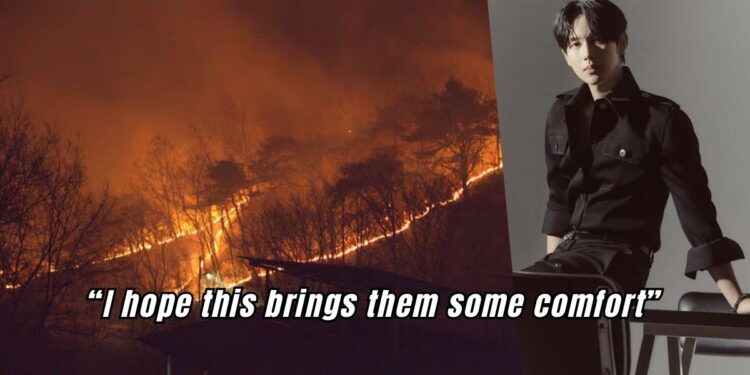 Sancheong wildfires South Korea fire Korean stars support