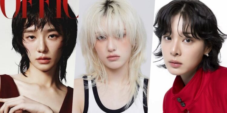 Korean Hair Trend: Female Mullet Haircuts for Your New Look