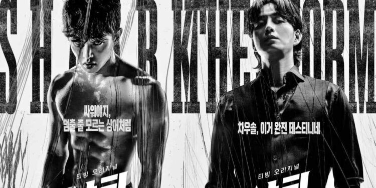 All About the Thrilling Action Korean Drama “Shark 2: The Storm”