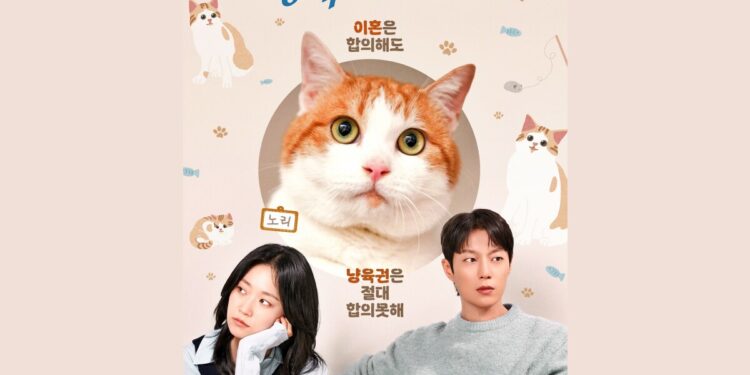 All About the Tug-of-Paws in “The Catstody War” Korean Drama: Who Wins When Hearts and Paws Collide?
