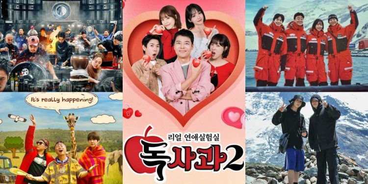 Watch “Are You Sure?!”, “Culinary Class Wars” Season 2 and More New Korean Variety Shows This Winter