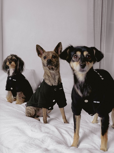 TEAM WANG x The Original 1: FRIENDS