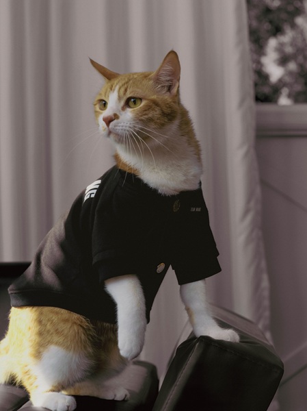 TEAM WANG x The Original 1: FRIENDS