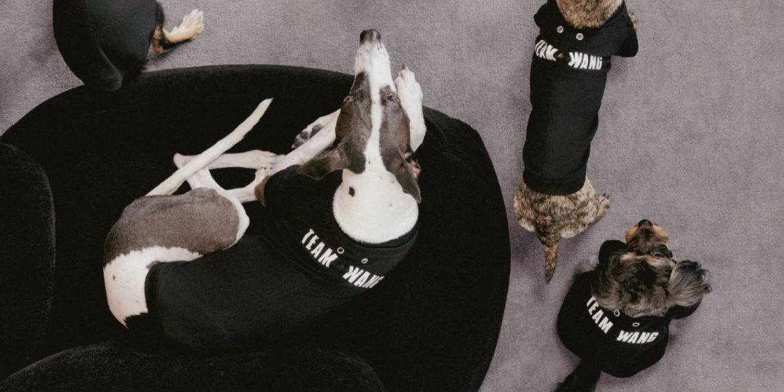 team wang design the original 1 friends pets fashion