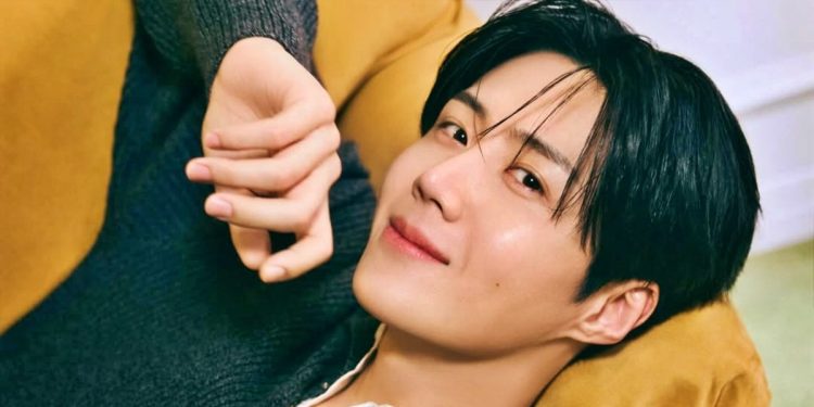 Kim Seon Ho Tax Evasion Allegations: Everything You Need to Know